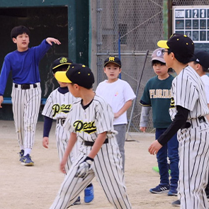 野球を通じて強い心身を育てるスクール