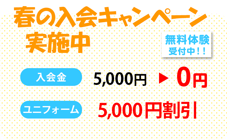 スタートダッシュキャンペーン